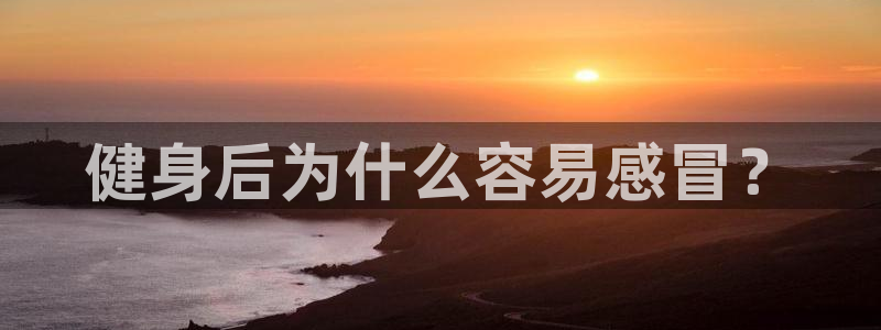 意昂2招商