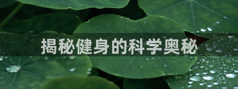 意昂2代理
