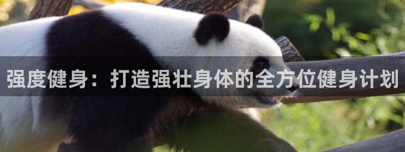 意昂2招商