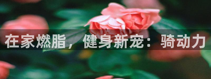 意昂2平台