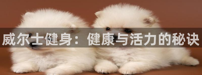 意昂2代理