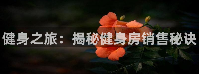 意昂2娱乐