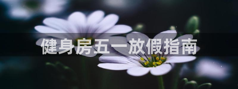 意昂2官方平台
