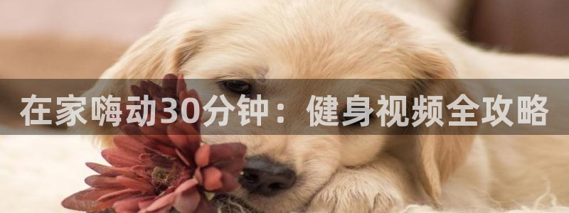 意昂2招商