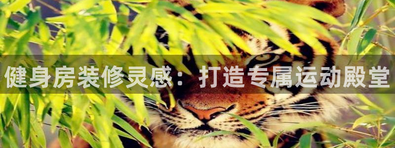 意昂2官网