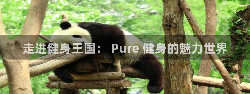 意昂2官方网站