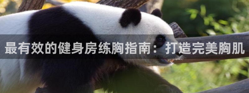 意昂2官网