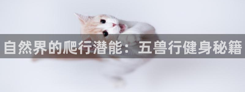 意昂2官方网站