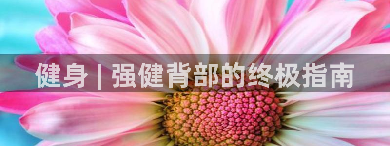 意昂2招商