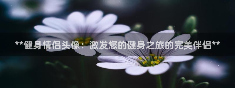 意昂2招商