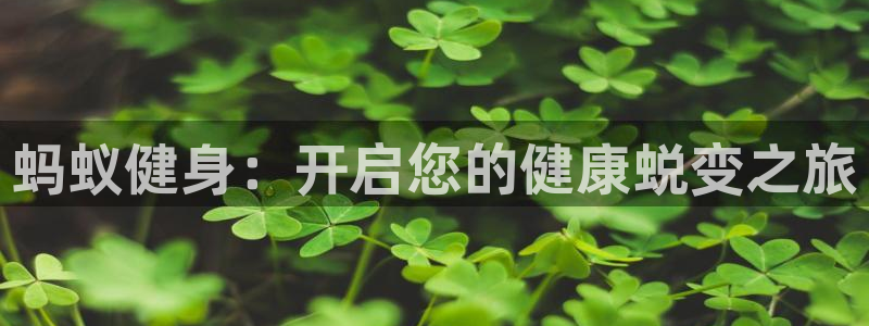 意昂2平台